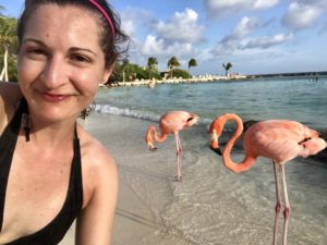 Aruba honeymoon Renaissance Island Flamingos