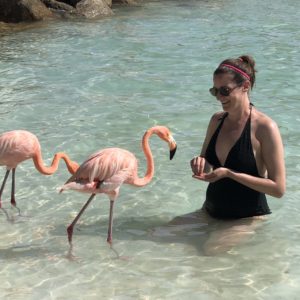 Aruba honeymoon Renaissance Island Flamingos