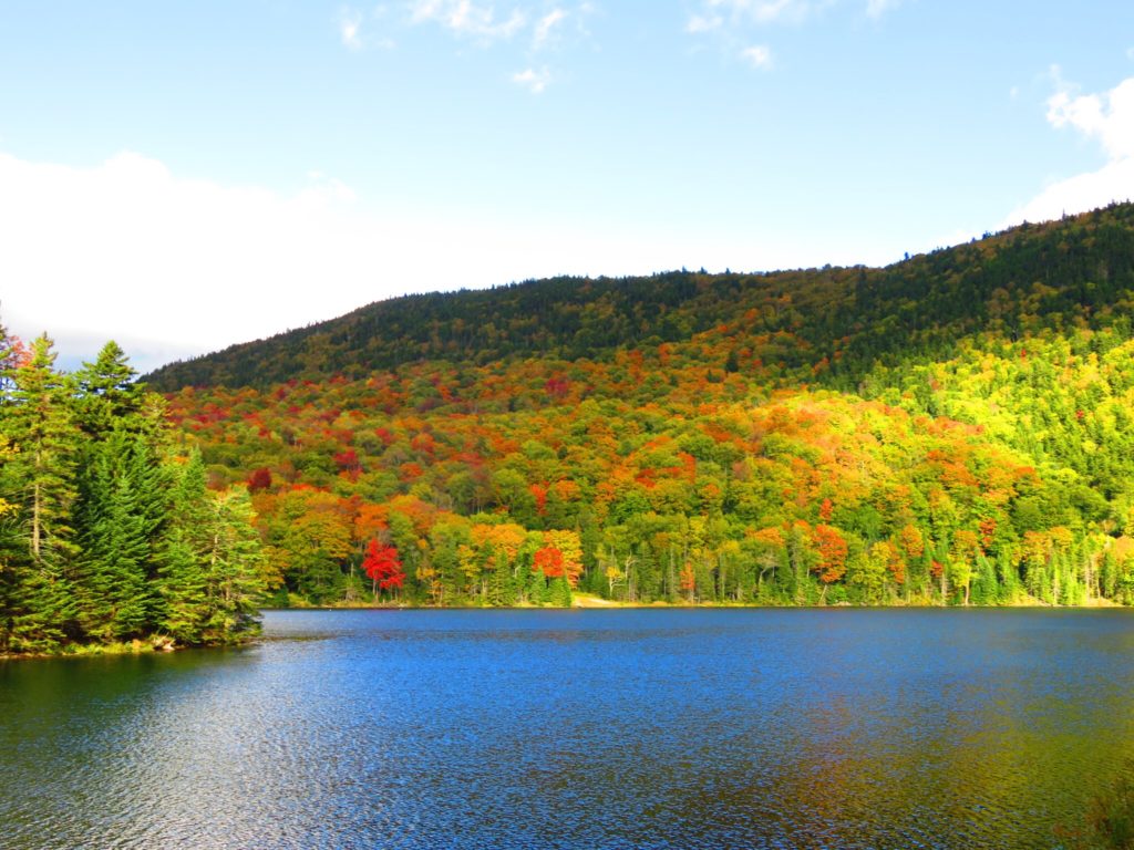 New England Leaf Peeping