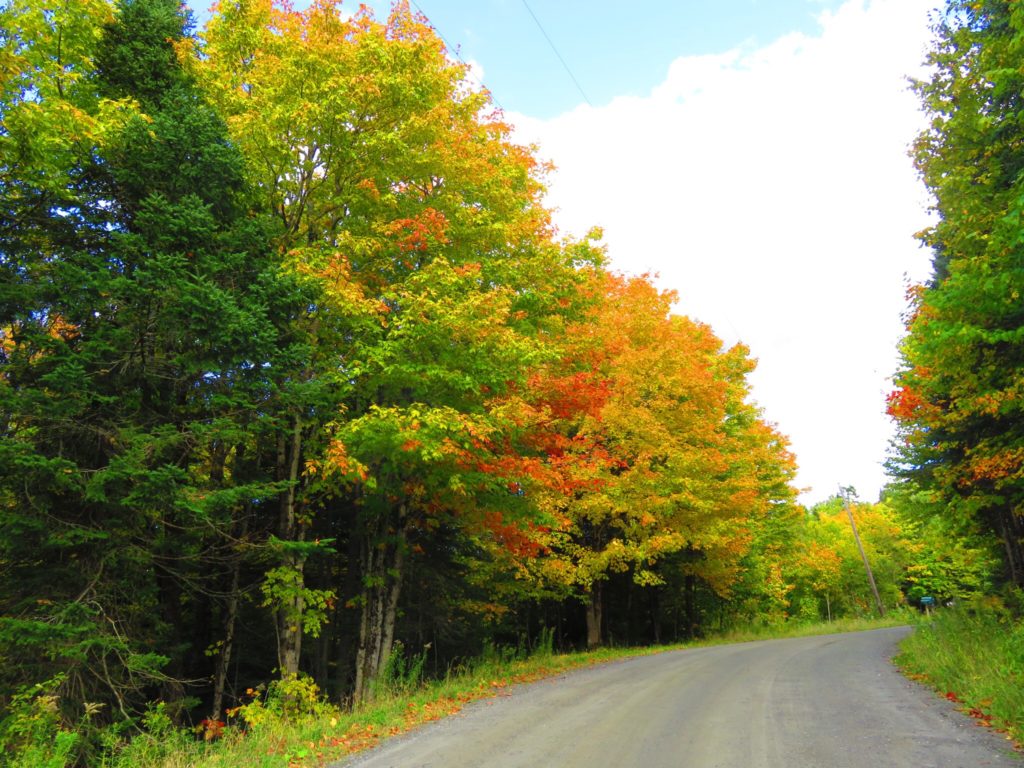 New England Leaf Peeping