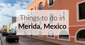 Things To Do in Merida Mexico The Roving Fox