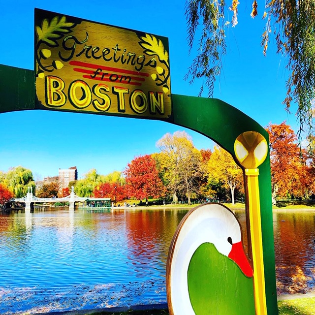Things to do in Boston in Winter Boston Common The Roving Fox