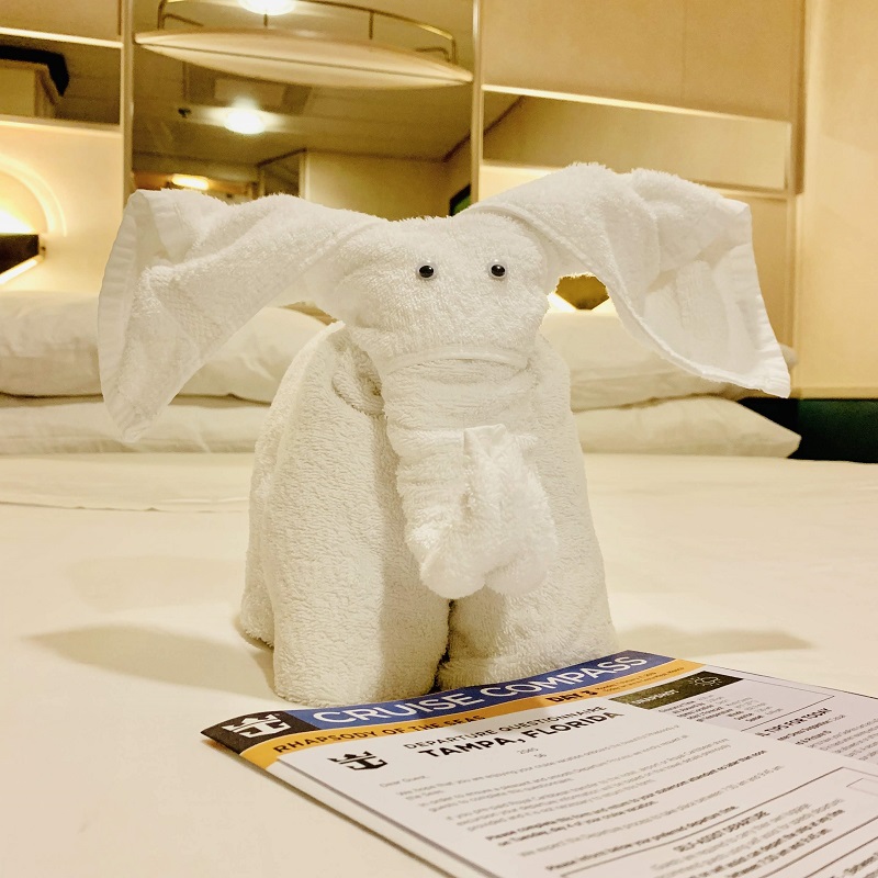 First Time Cruise Tips towel animal