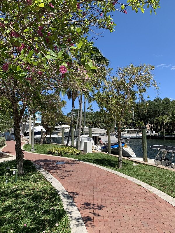 Riverwalk Fort Lauderdale near Las Olas Fort Lauderdale