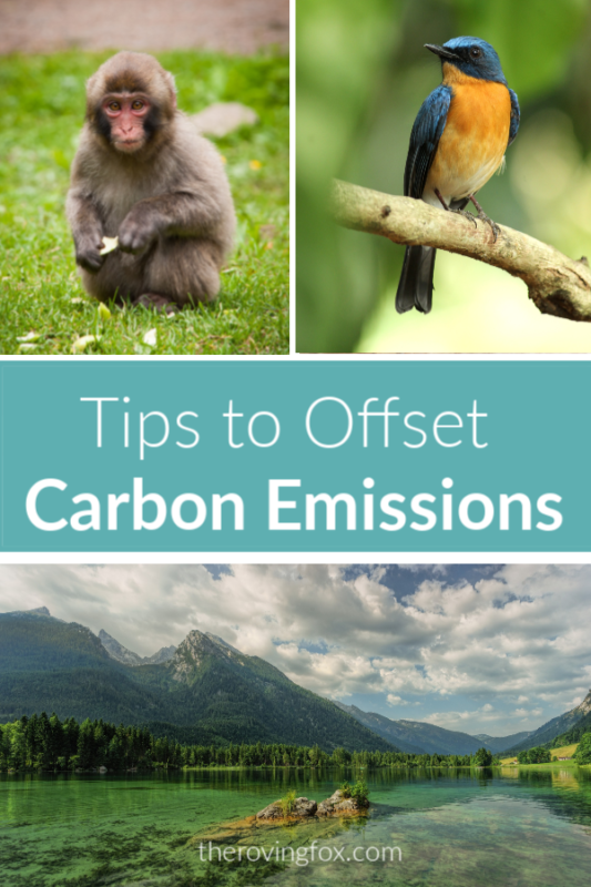 Carbon Offsets for Flights. How to offset carbon emissions