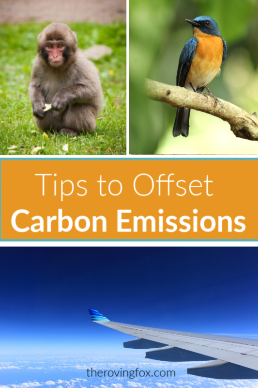 Carbon Offsets for Flights. Tips to offset carbon emissions