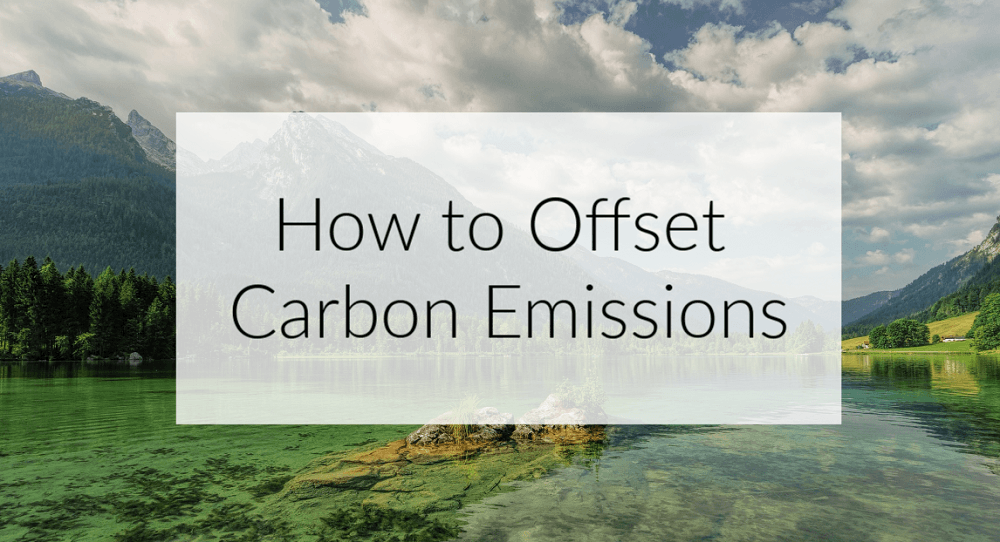 Carbon Offsets for Flights: A Sustainable Travel Must?