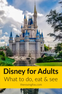 Disney for adults Pinterest image